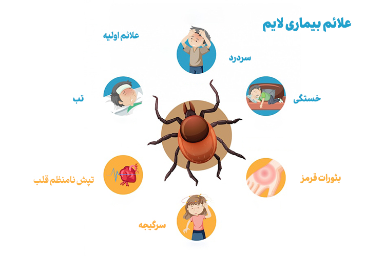 علائم بیماری لایم